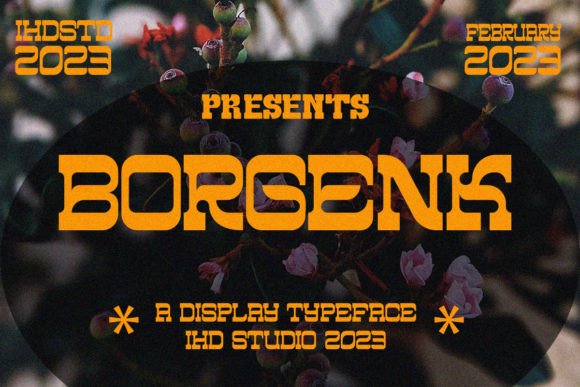 Borgenk Display Font for Scroll-Stopping Visual Campaigns