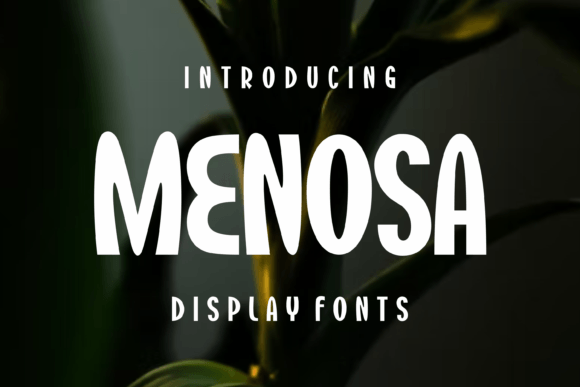 Menosa Display Font for Modern Handmade Brands
